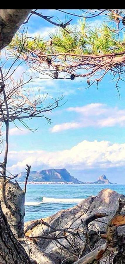 Home Sweet Home Sea Mondello Dış mekan fotoğraf
